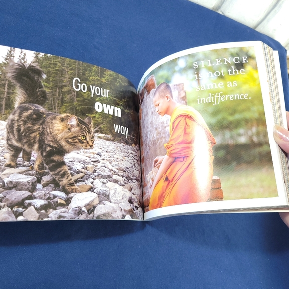 Really Important Stuff My Cat Taught Me - Picture 5 of 5